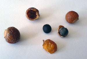 ¿Qué son las Nueces de Lavado?