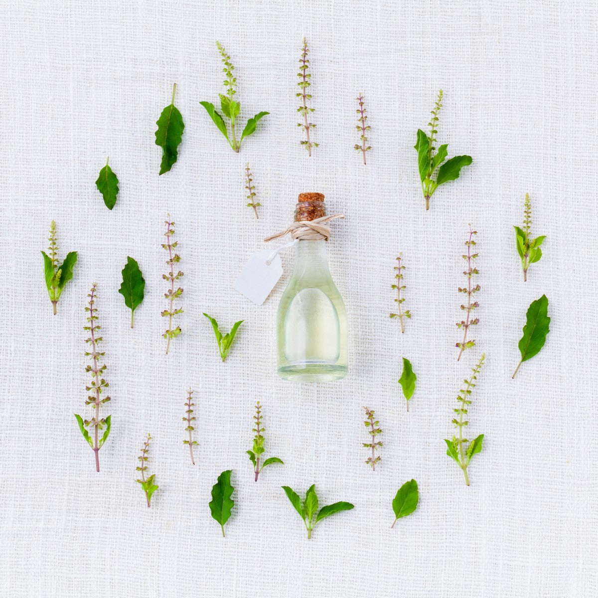 Colágeno vegetal y sus beneficios