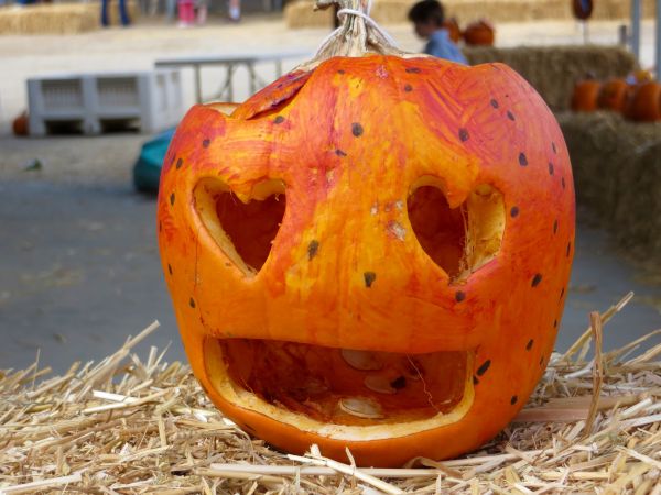 🍂Porque tu piel también merece su dosis de Pumpkin Spice🎃