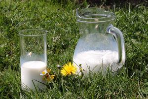 Beneficios de la Leche de Cabra para la piel y la salud