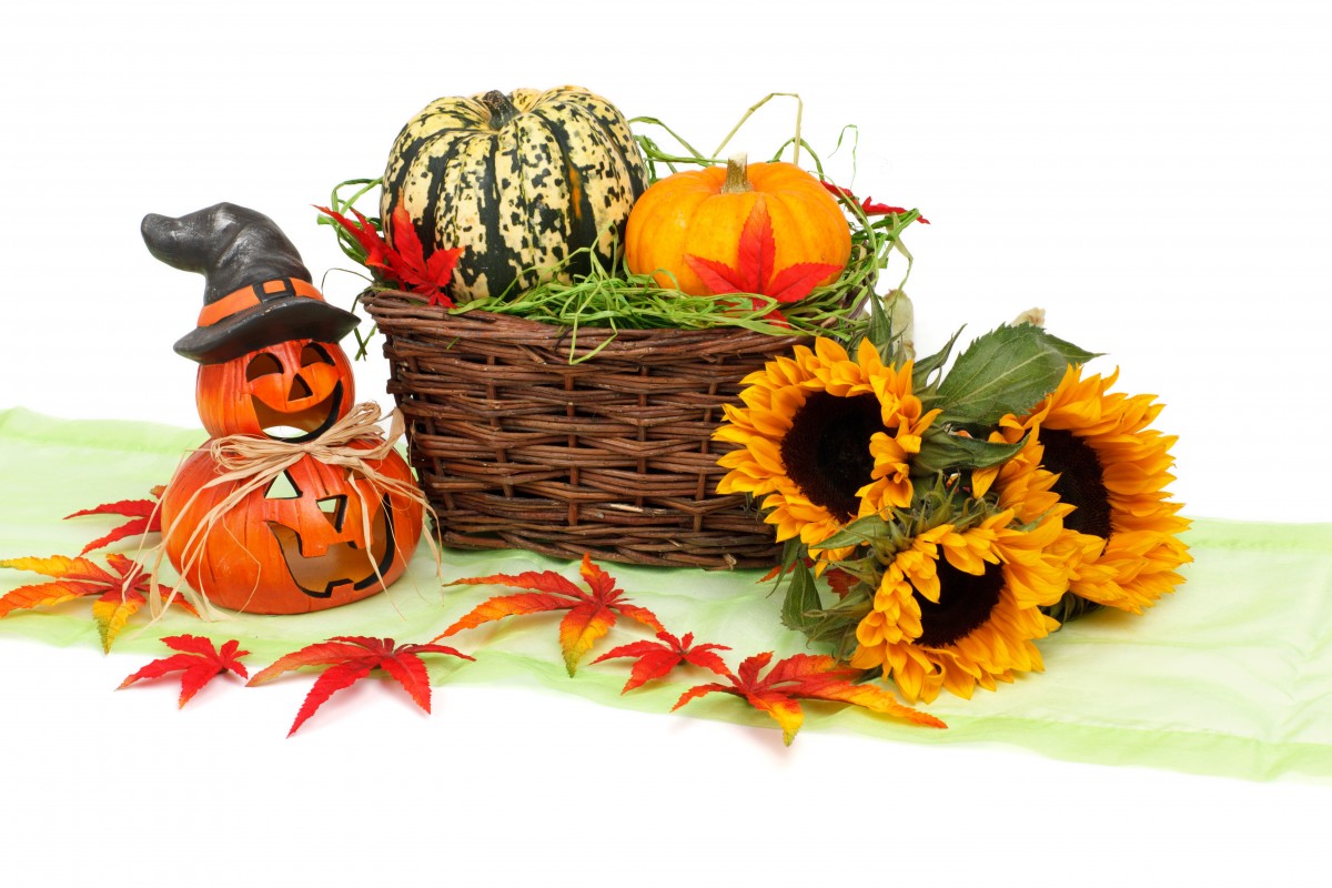 Beneficios de la calabaza para la salud y la belleza
