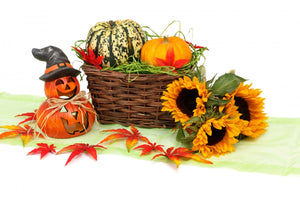 Beneficios de la calabaza para la salud y la belleza